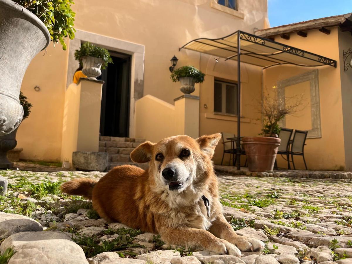 Agriturismo Castello Santa Margherita *